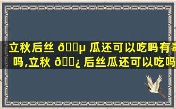 立秋后丝 🌵 瓜还可以吃吗有毒吗,立秋 🌿 后丝瓜还可以吃吗有毒吗能吃吗